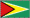 flag of guyana